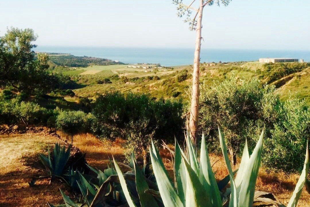 Photo of Outdoor in Sciacca