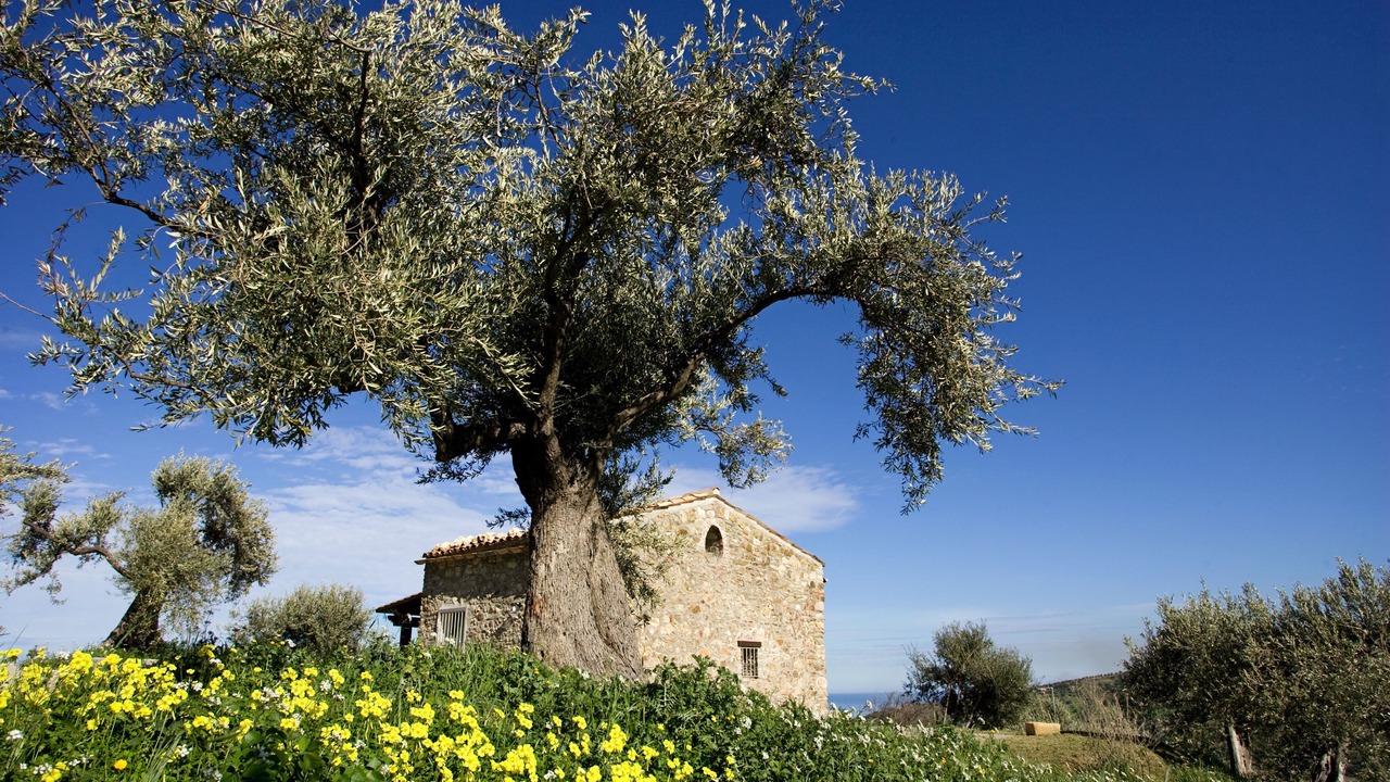 Photo of Outdoor in Campofelice di Roccella