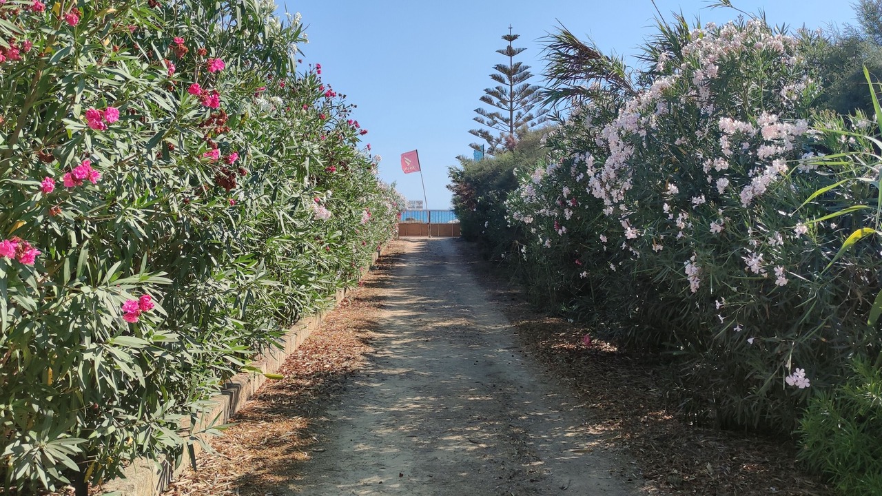 Photo of Outdoor in Campobello di Mazara
