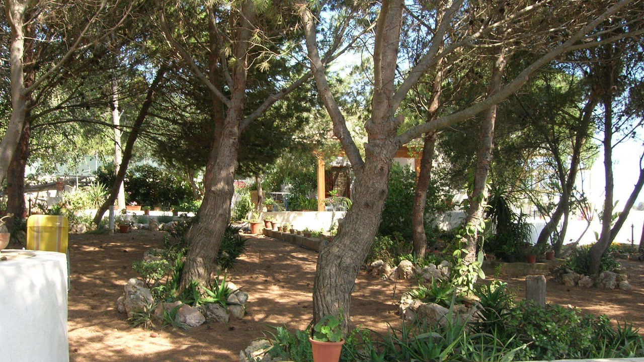 Photo of Outdoor in Favignana