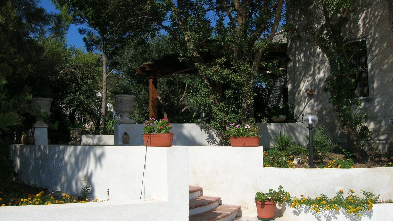 Photo of Outdoor in Favignana