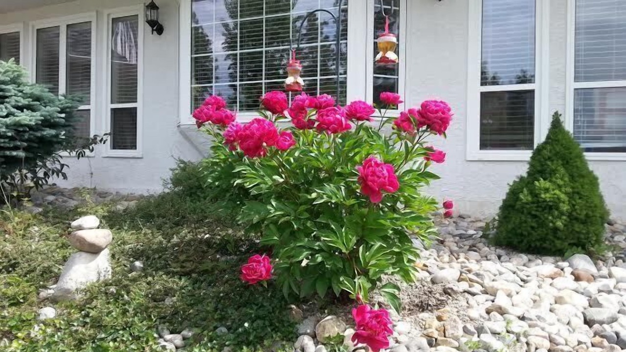 Photo of Outdoor in McKinley