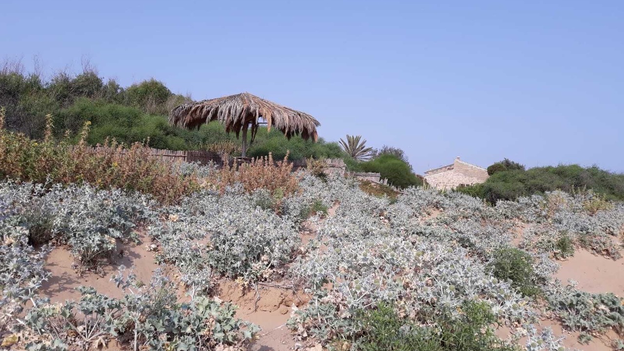 Photo of Outdoor in Donnalucata