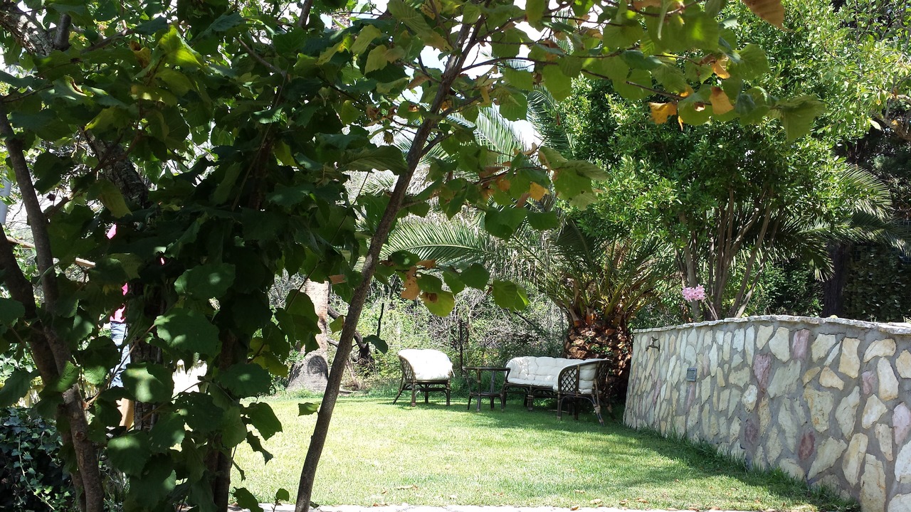 Photo of Others in Madonie National Park