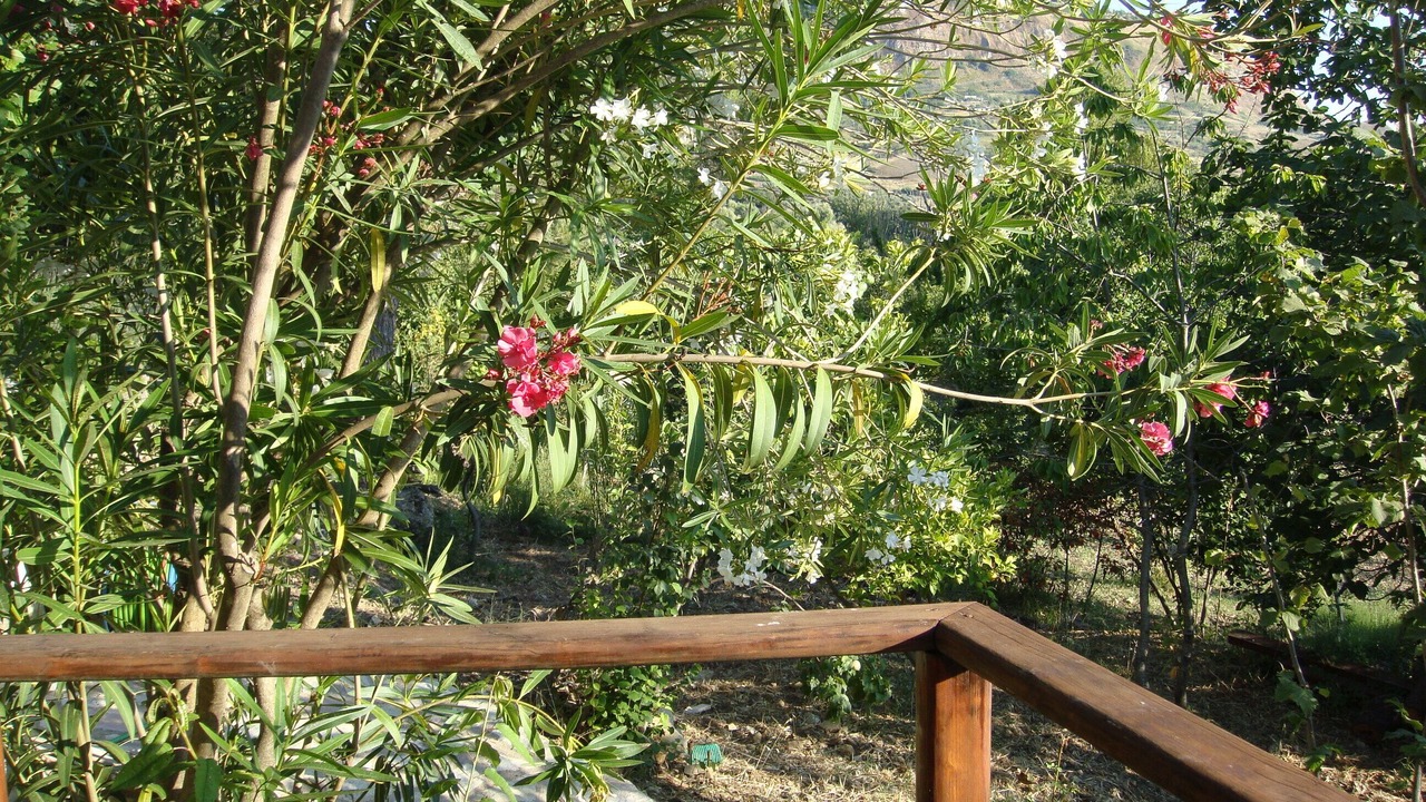 Photo of Outdoor in Madonie National Park