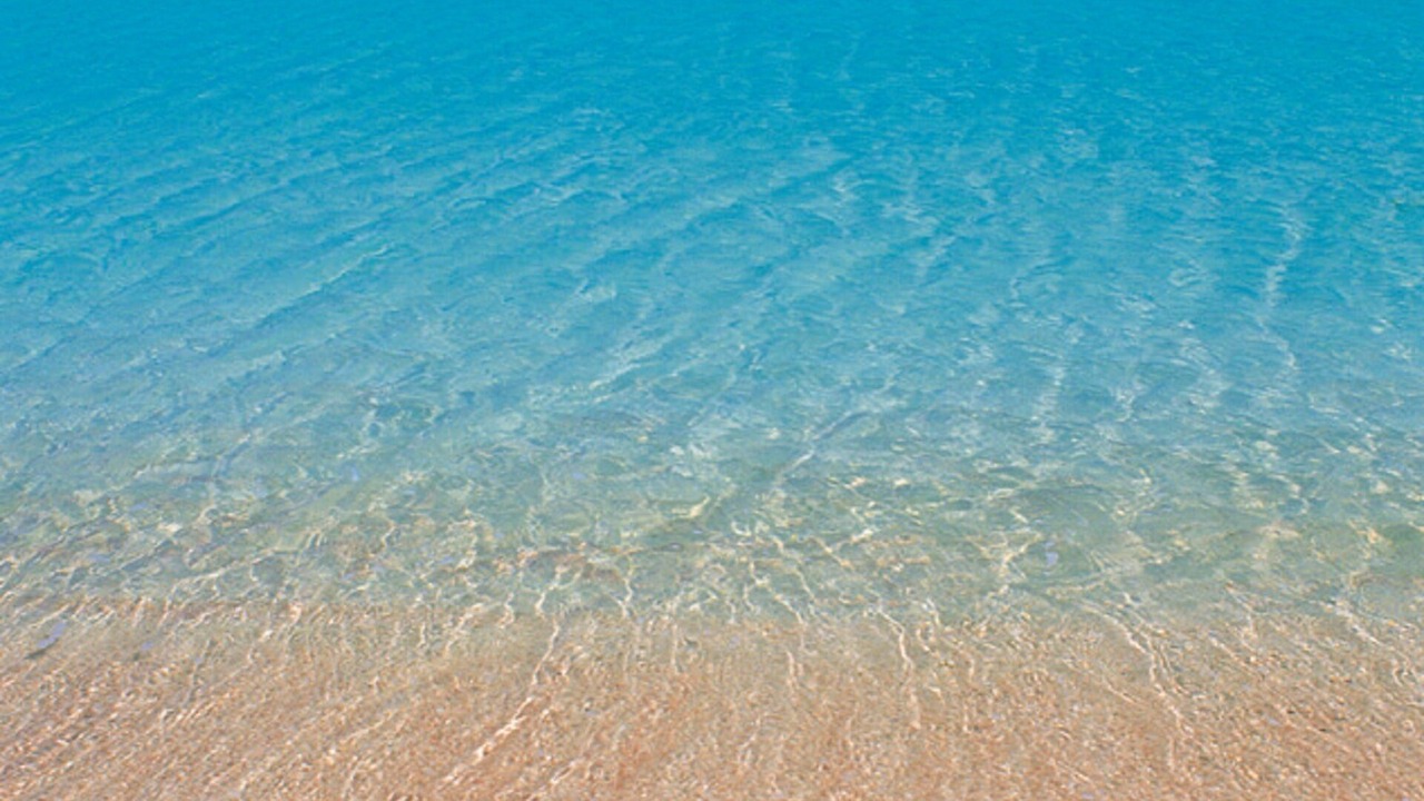 Photo of Others in Trapani