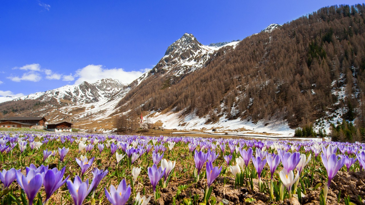 Photo of Outdoor in Valle Aurina