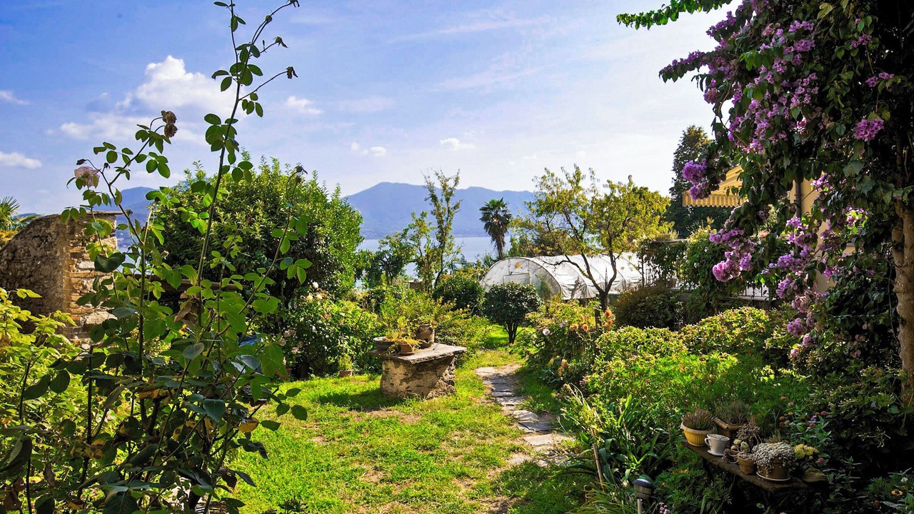 Photo of Outdoor in Cannobio