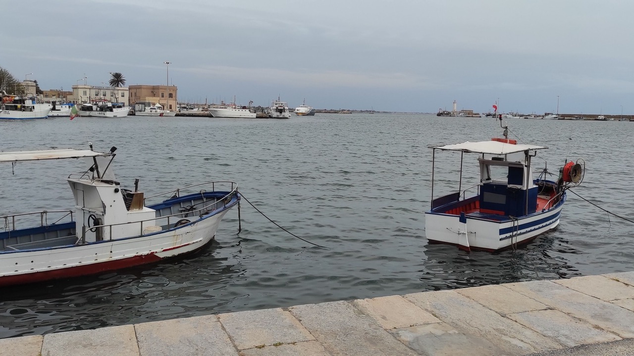 Photo of Others in Marsala