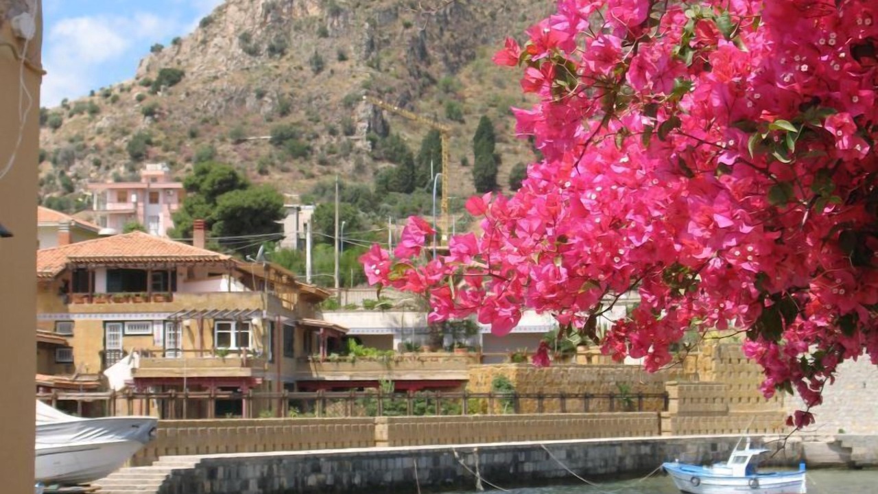 Photo of Outdoor in Porticello