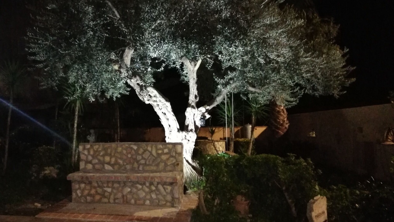 Photo of Outdoor in Siculiana