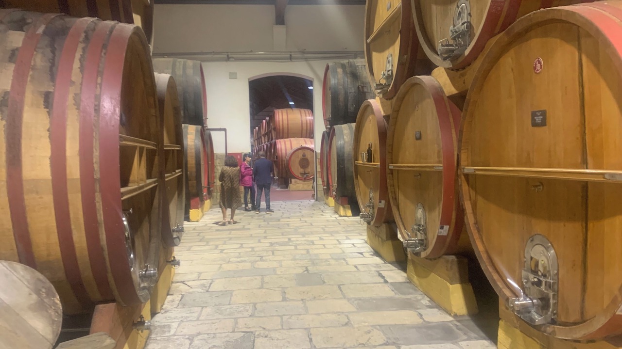 Photo of Others in Marsala