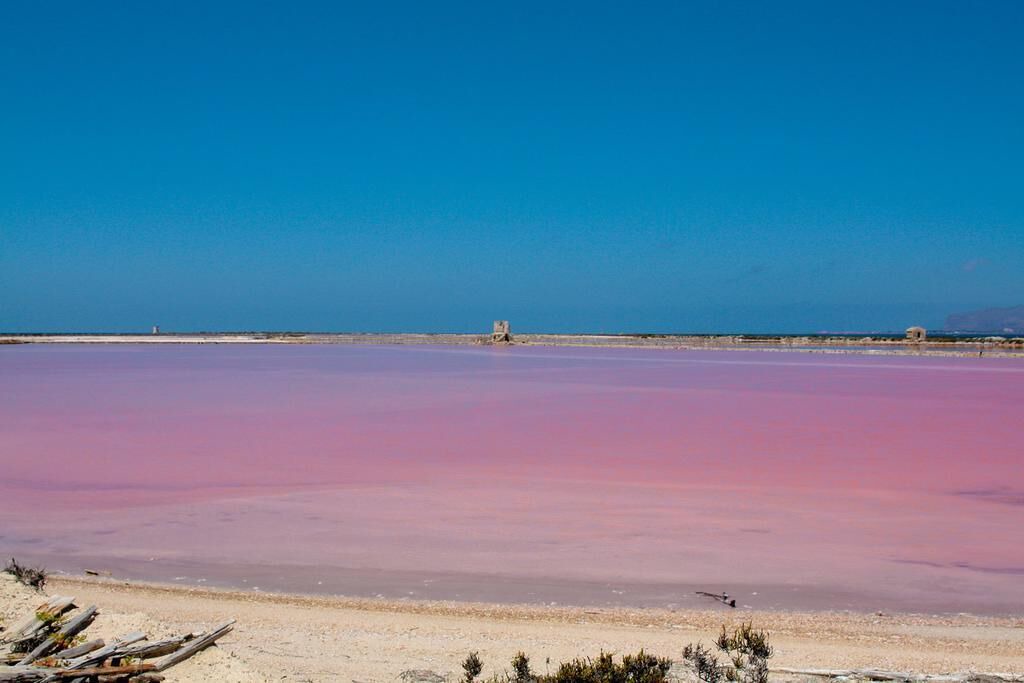Photo of Others in Marsala
