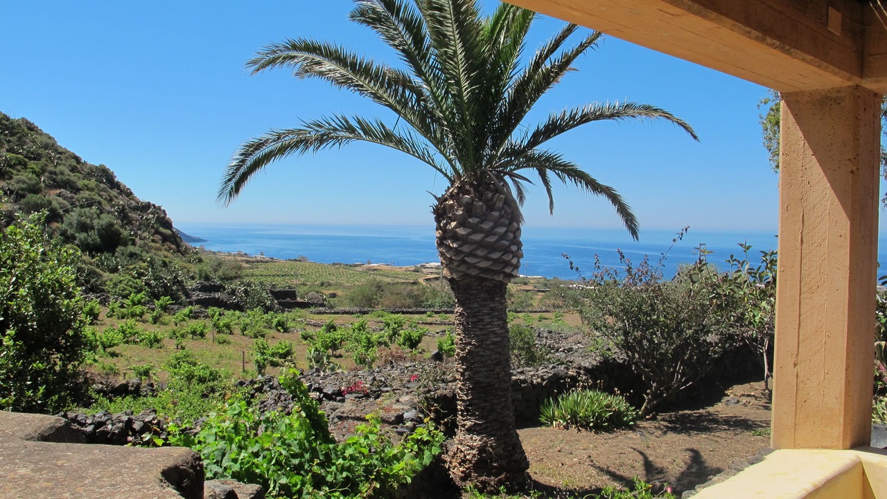 Photo of Outdoor in Pantelleria