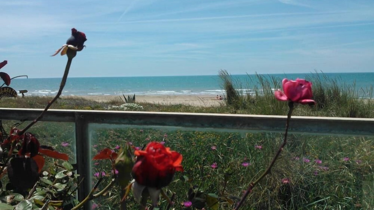 Photo of Others in Lido dei Pini