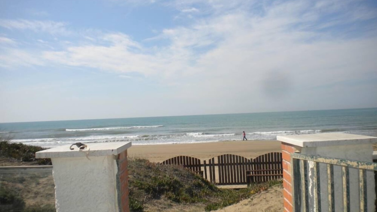 Photo of Others in Lido dei Pini