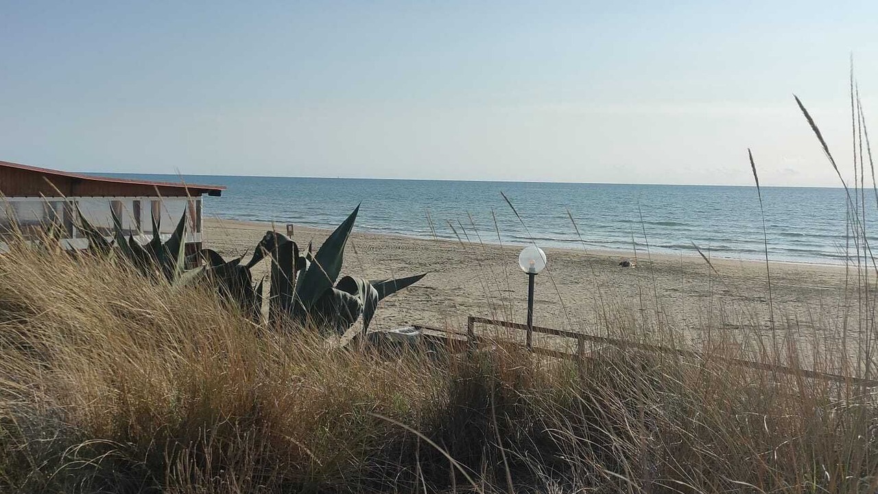 Photo of Others in Lido dei Pini