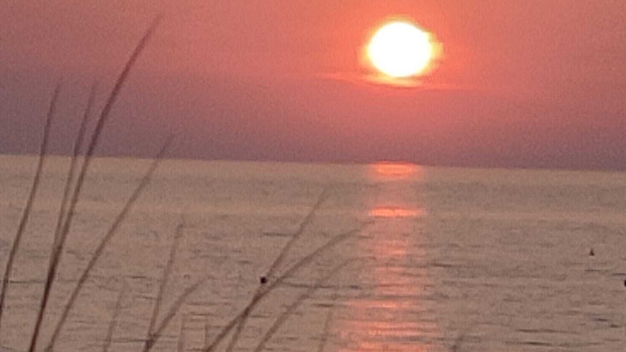 Photo of Others in Lido dei Pini