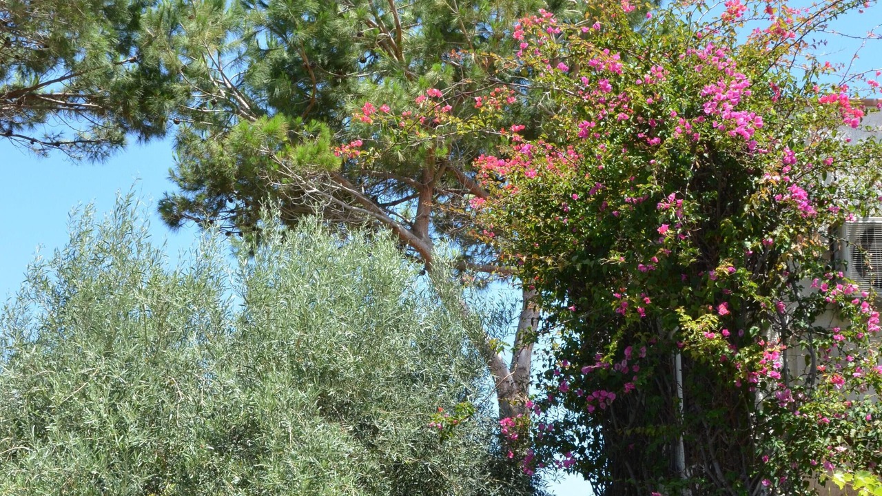 Photo of Outdoor in Mazzaforno