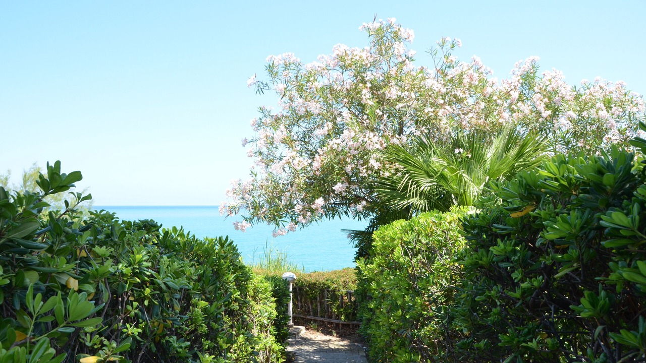 Photo of Outdoor in Mazzaforno