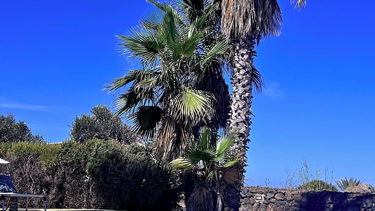 Photo of Outdoor in Pantelleria
