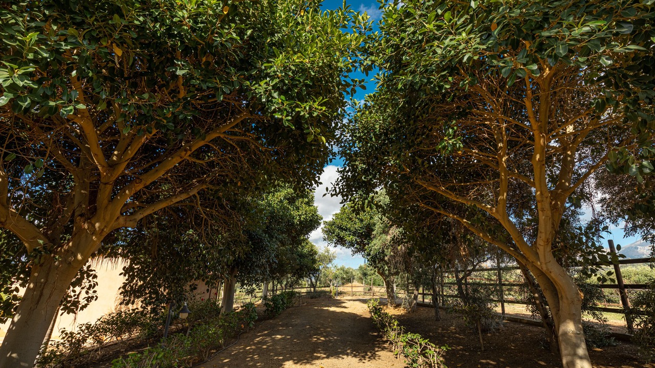 Photo of Outdoor in Campofelice di Roccella