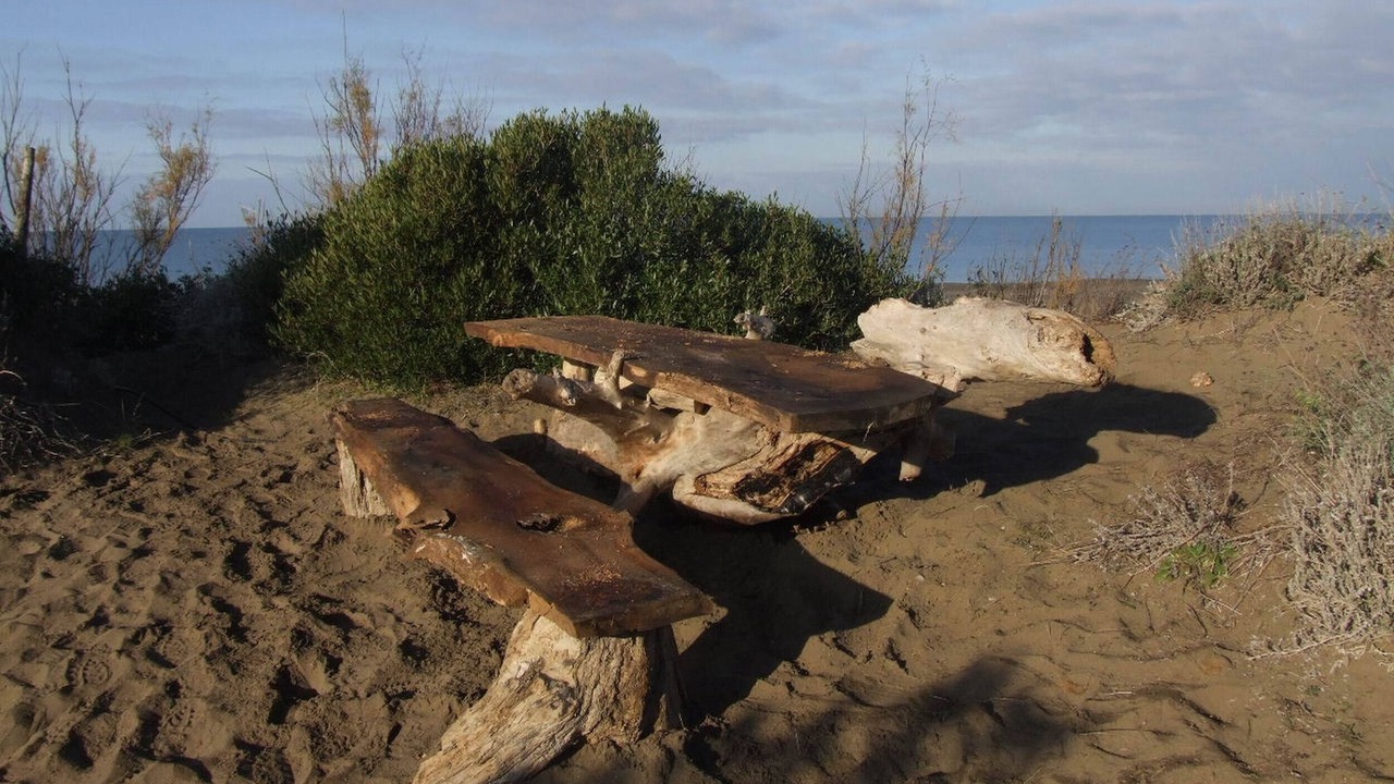 Photo of Others in Marina di Castagneto Carducci