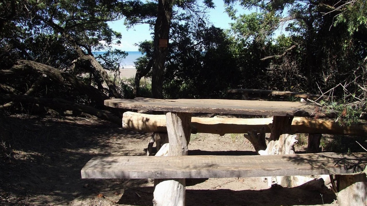 Photo of Outdoor in Marina di Castagneto Carducci