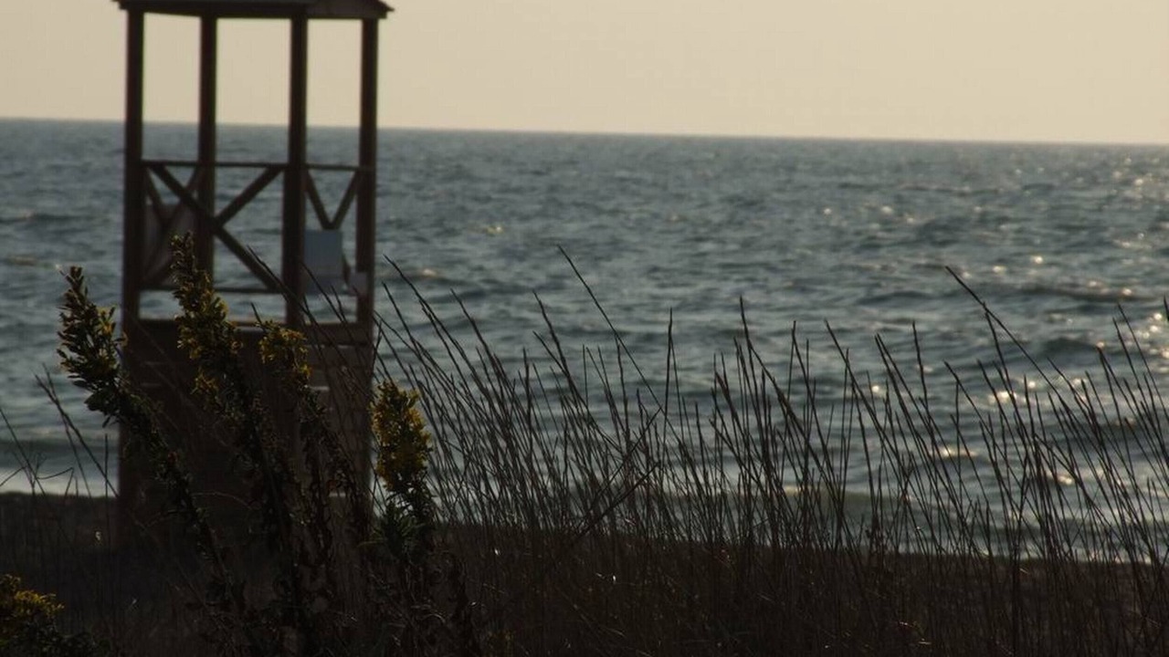Photo of Others in Marina di Castagneto Carducci