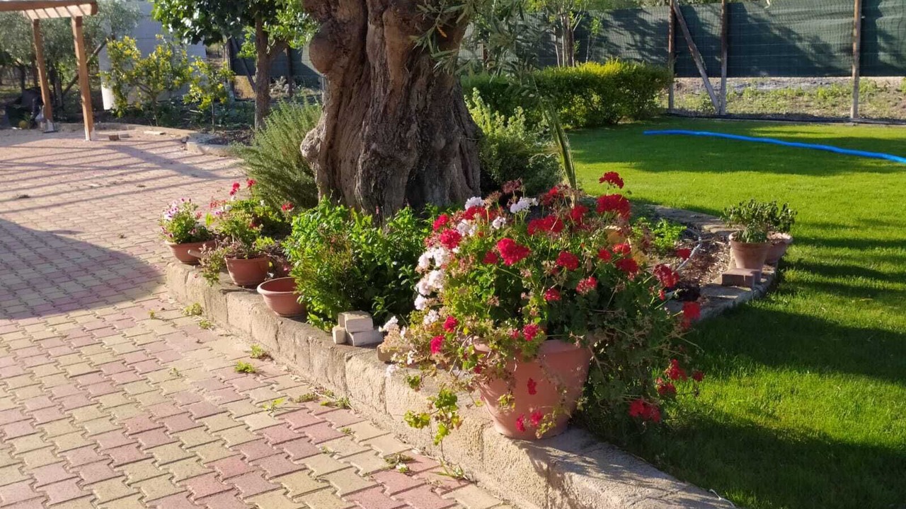 Photo of Outdoor in Sciacca