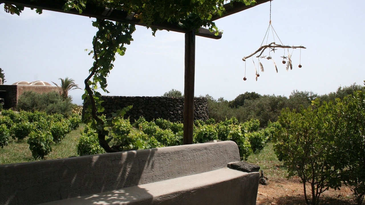 Photo of Outdoor in Kamma