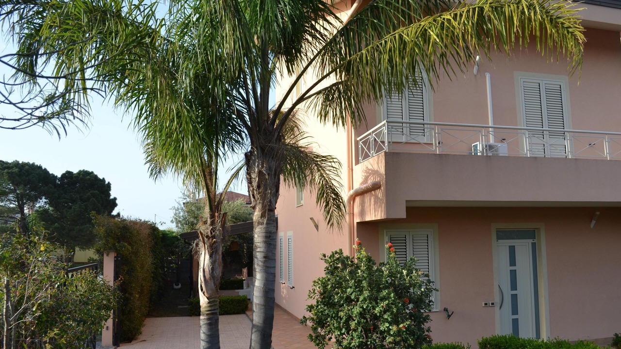 Photo of Outdoor in Patti
