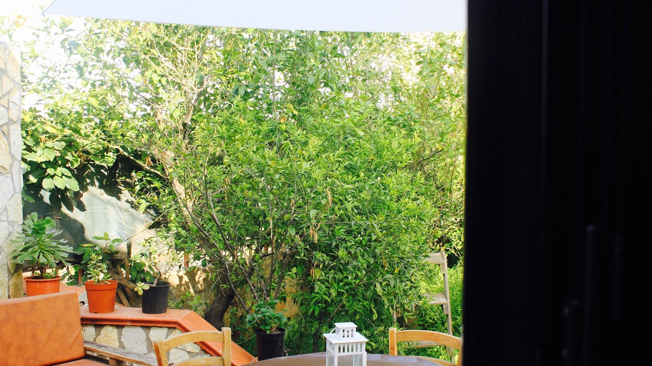 Photo of Outdoor in Palermo