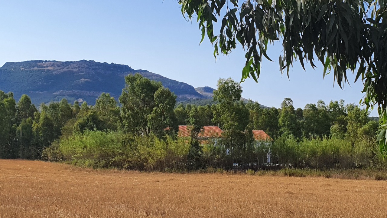 Photo of Outdoor in Perdaxius