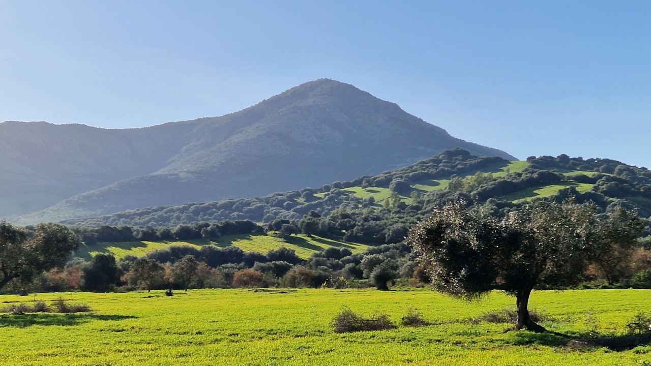 Photo of Outdoor in Perdaxius
