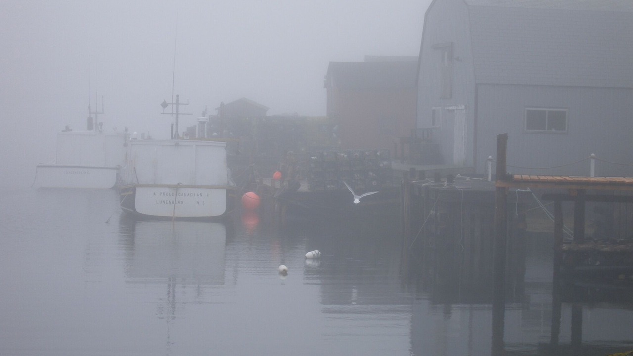 Photo of Outdoor in Crousetown