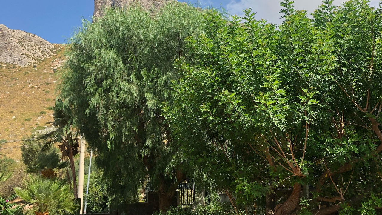 Photo of Outdoor in Macari