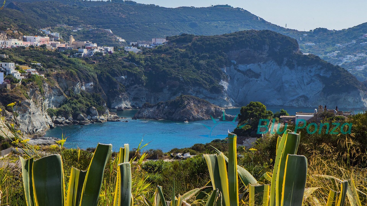 Photo of Others in Le Forna
