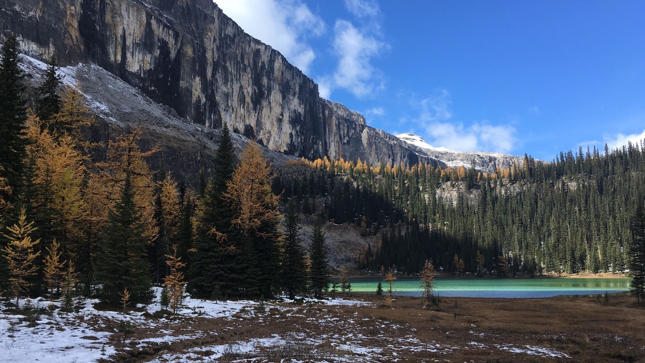 Photo of Outdoor in Canmore