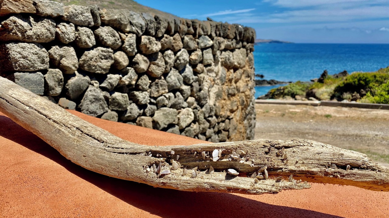Photo of Others in Pantelleria