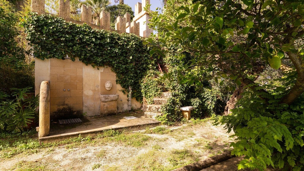 Photo of Outdoor in Mockarta