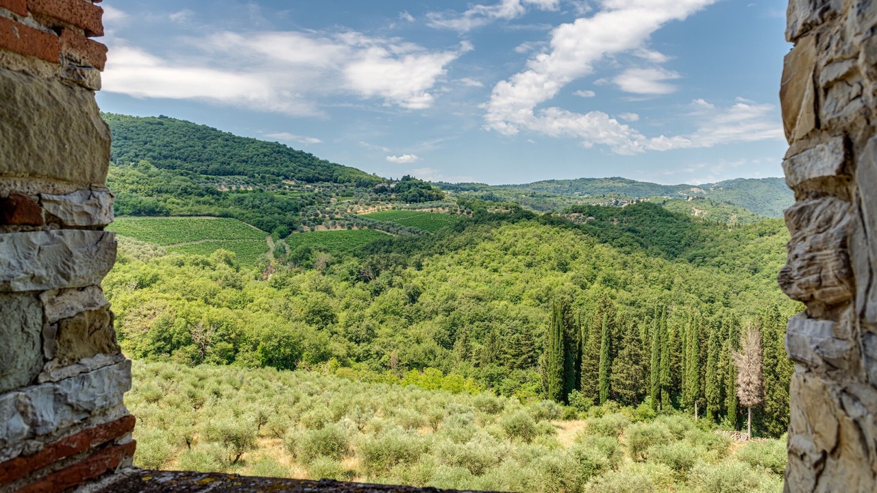 Photo of Others in Montebonello