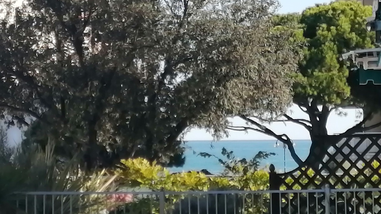 Photo of Others in Jesolo