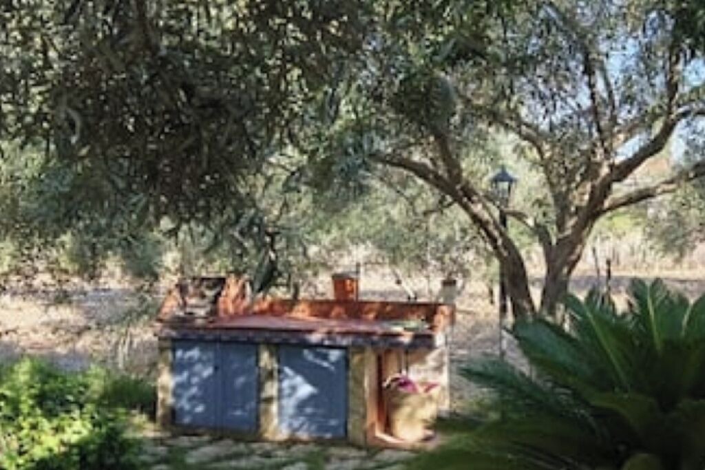 Photo of Outdoor in Terrasini