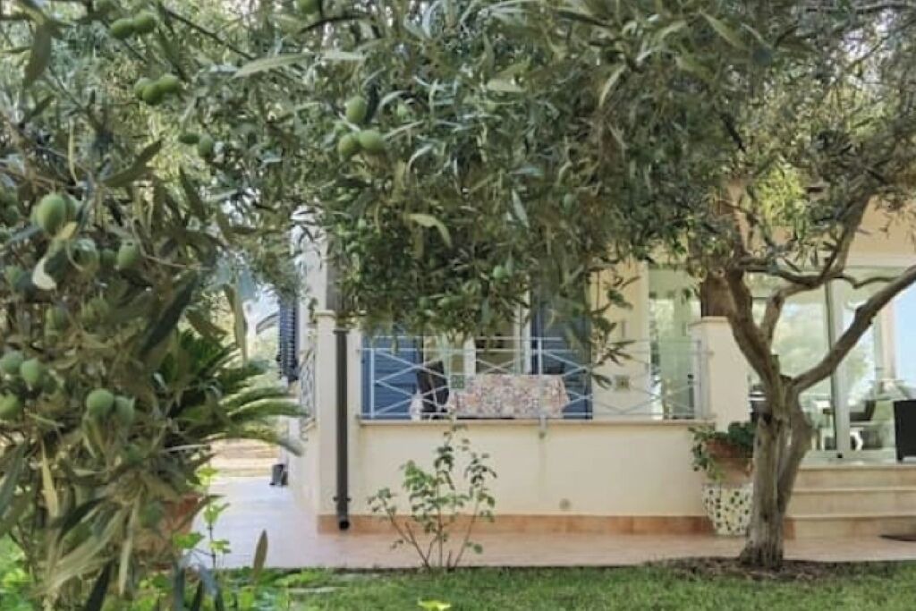 Photo of Outdoor in Terrasini