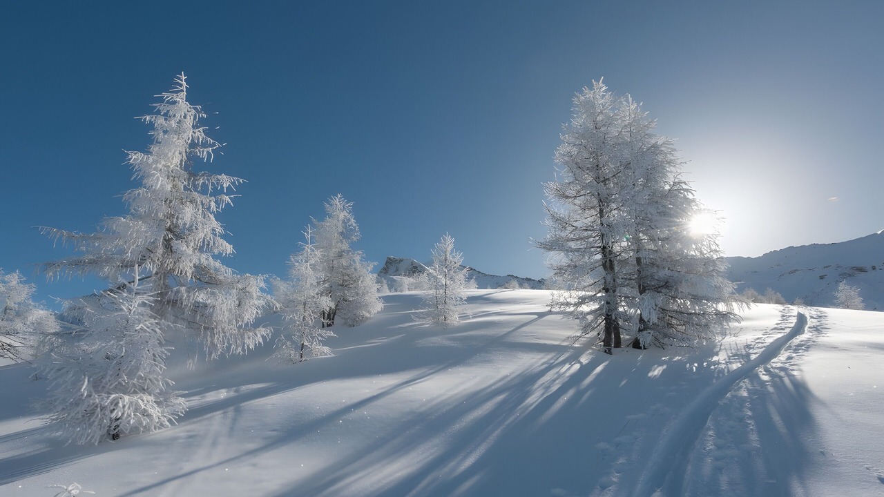 Photo of Others in Selva dei Molini