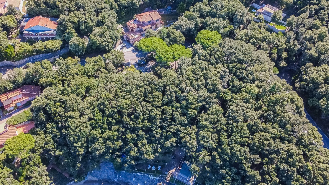 Photo of Outdoor in Procchio