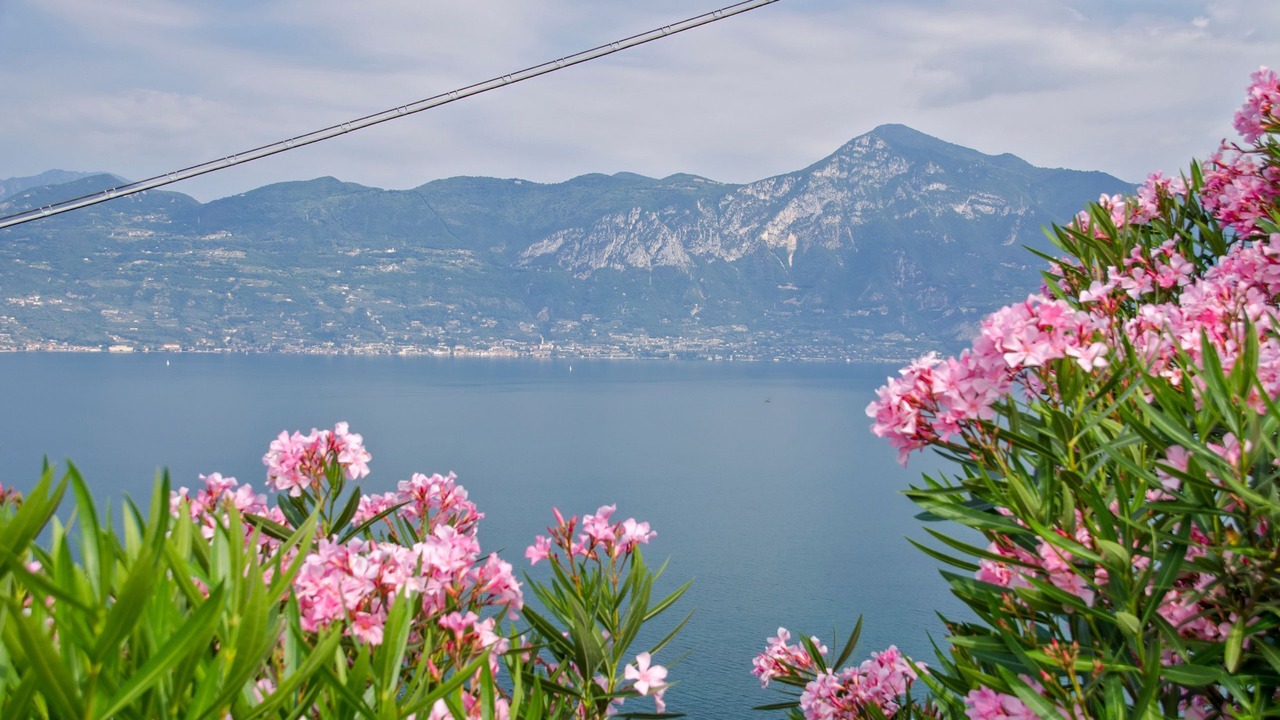 Photo of Others in Limone sul Garda