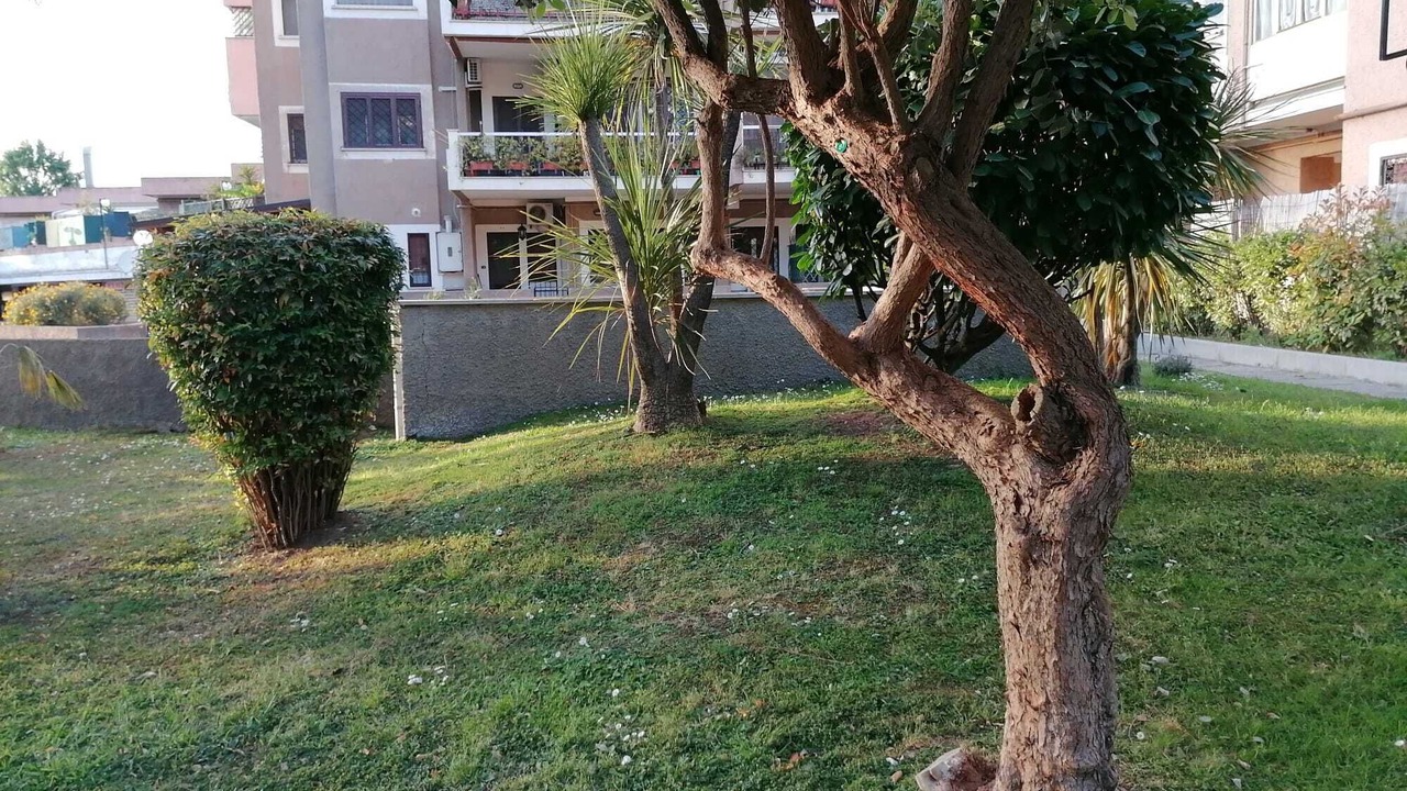 Photo of Outdoor in Torre Gaia