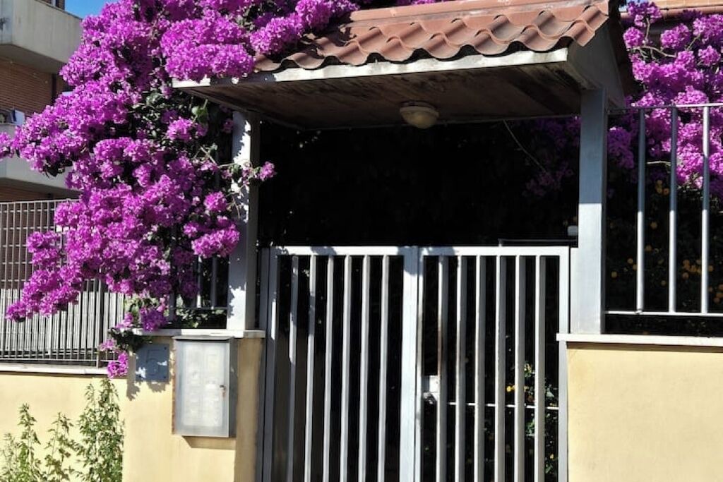 Photo of Outdoor in Isola Sacra